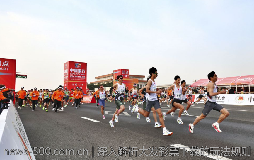 深入解析大发彩票下载的玩法规则